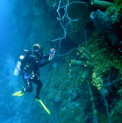 Roatan, dive master on wall, D70s by Larry Polster 